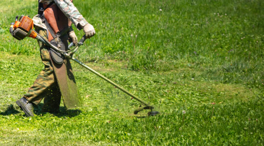 Débroussailleuse Husqvarna